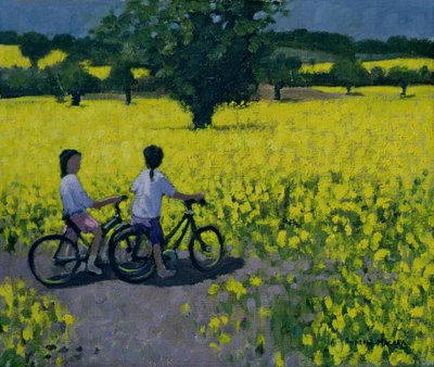 Yellow Field, Kedleston, Derby by Andrew Macara